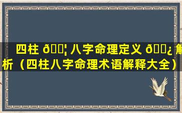 四柱 🐦 八字命理定义 🌿 解析（四柱八字命理术语解释大全）